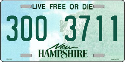 NH license plate 3003711