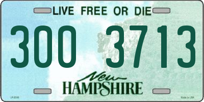 NH license plate 3003713