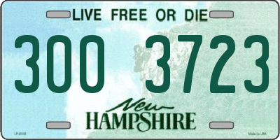 NH license plate 3003723