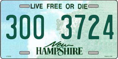 NH license plate 3003724