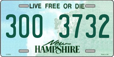 NH license plate 3003732