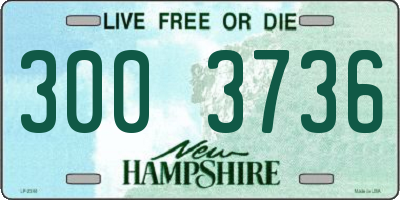NH license plate 3003736
