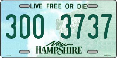 NH license plate 3003737