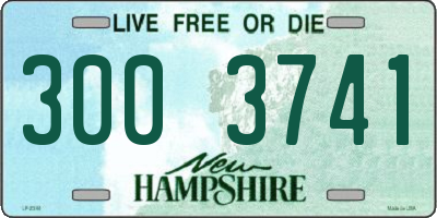 NH license plate 3003741