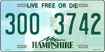 NH license plate 3003742