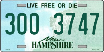 NH license plate 3003747