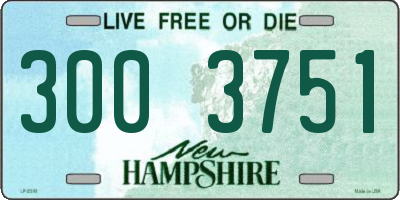 NH license plate 3003751
