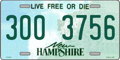 NH license plate 3003756