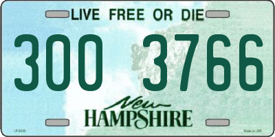 NH license plate 3003766