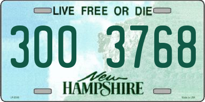 NH license plate 3003768