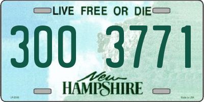 NH license plate 3003771