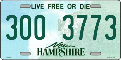NH license plate 3003773