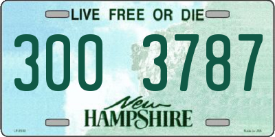 NH license plate 3003787