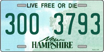 NH license plate 3003793