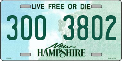 NH license plate 3003802