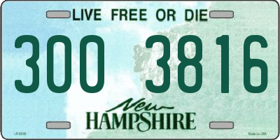 NH license plate 3003816