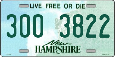 NH license plate 3003822