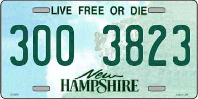 NH license plate 3003823