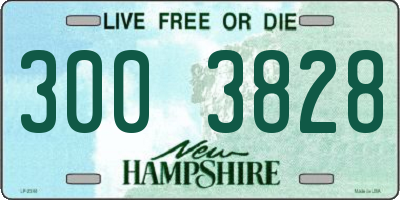 NH license plate 3003828