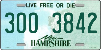 NH license plate 3003842