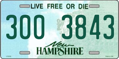 NH license plate 3003843
