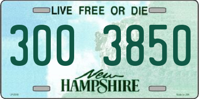 NH license plate 3003850