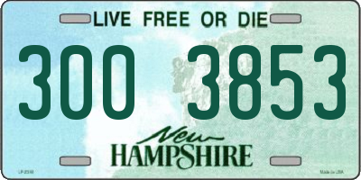 NH license plate 3003853