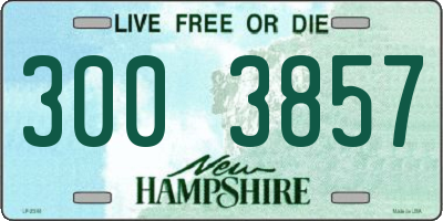 NH license plate 3003857
