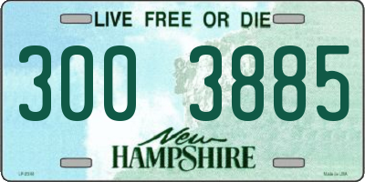 NH license plate 3003885