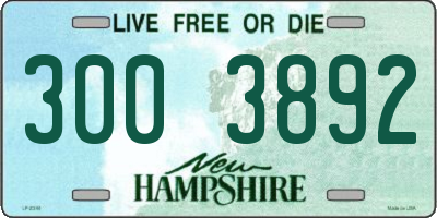 NH license plate 3003892