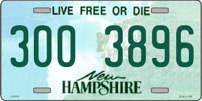 NH license plate 3003896