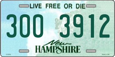 NH license plate 3003912