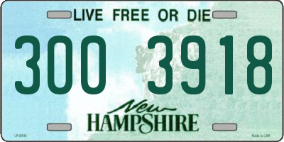 NH license plate 3003918