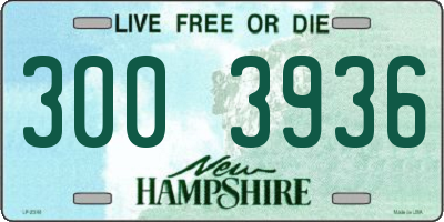 NH license plate 3003936