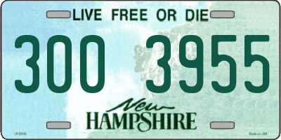 NH license plate 3003955