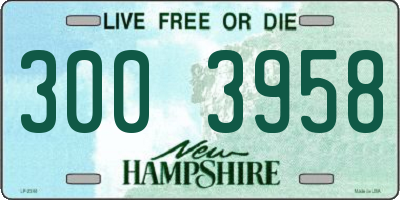 NH license plate 3003958