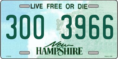 NH license plate 3003966
