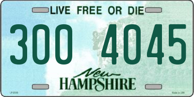 NH license plate 3004045