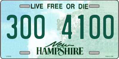 NH license plate 3004100