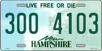 NH license plate 3004103