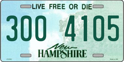 NH license plate 3004105