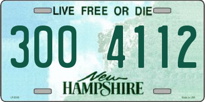 NH license plate 3004112