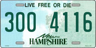 NH license plate 3004116