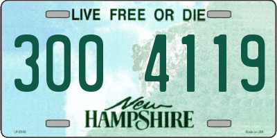 NH license plate 3004119