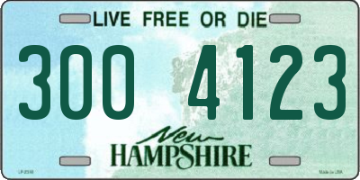 NH license plate 3004123