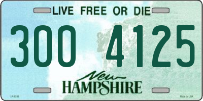 NH license plate 3004125
