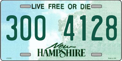 NH license plate 3004128