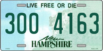 NH license plate 3004163