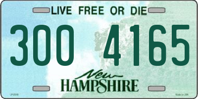 NH license plate 3004165