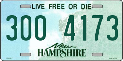 NH license plate 3004173
